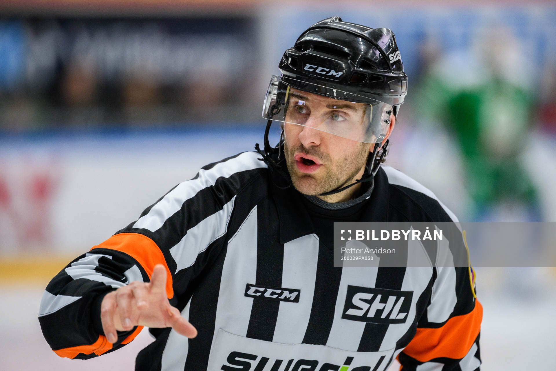 Domare Mikael Sjöqvist
