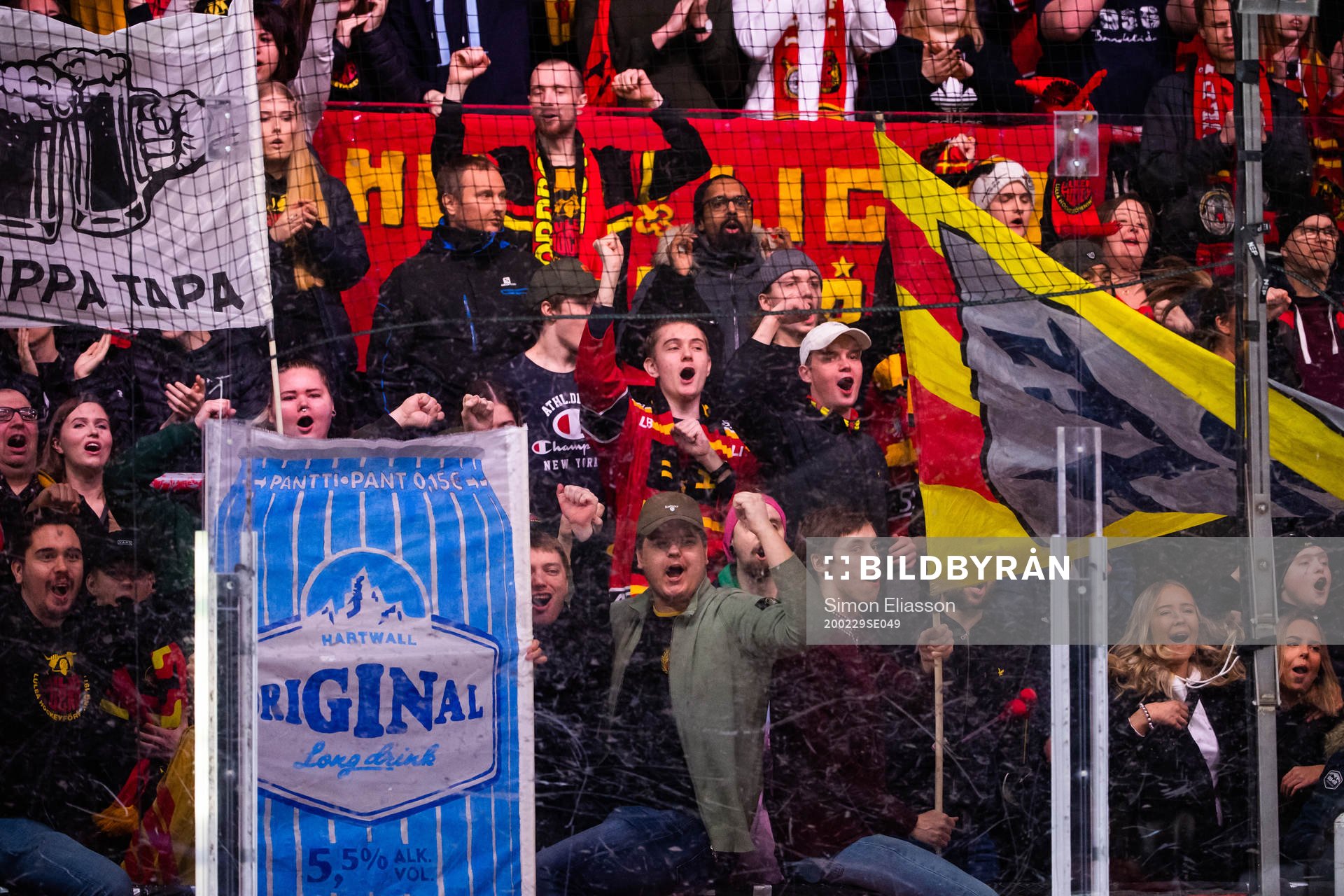 Luleås supportrar jublar