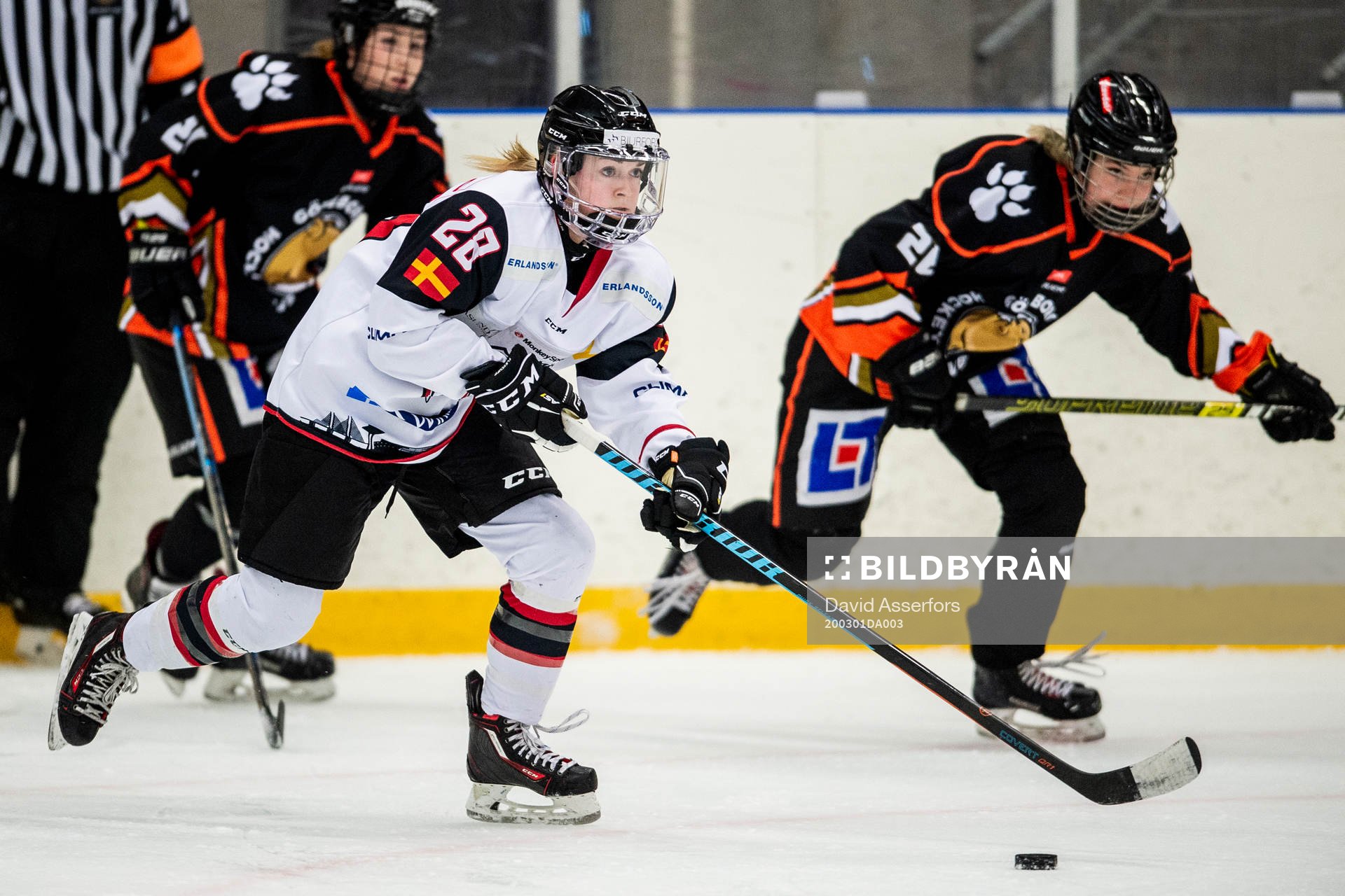 Malmö Redhawks Brooklyn Langlois