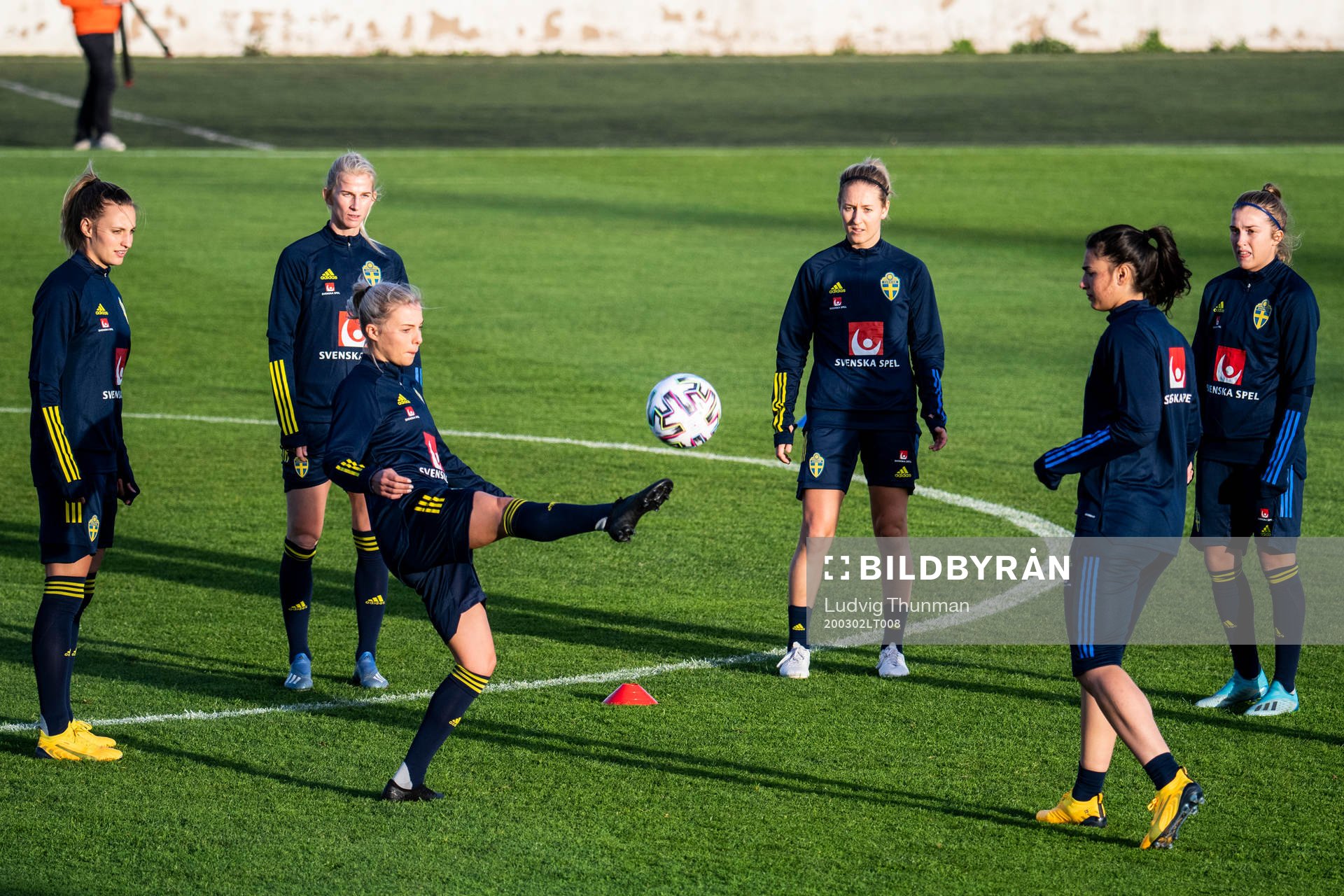 Players of Sweden