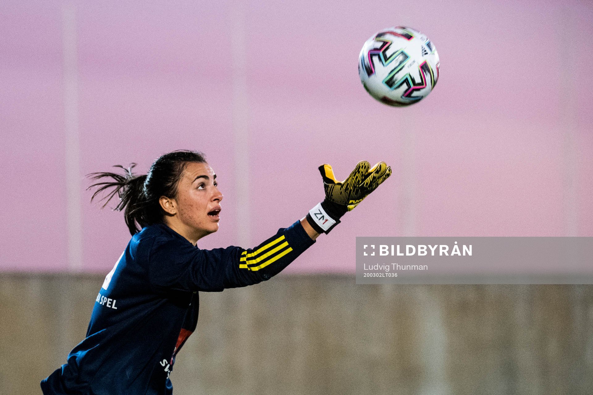goalkeeper Zecira Musovic