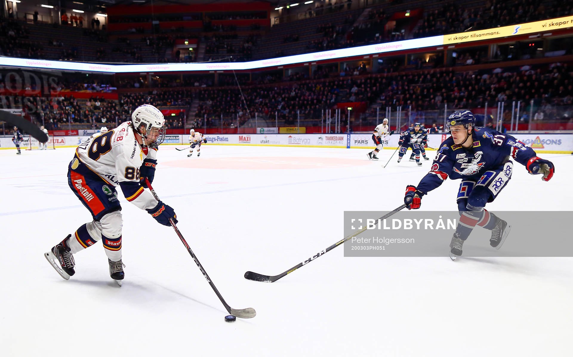 Djurgårdens Alexander Holtz och Linköpings Olle Lycksell