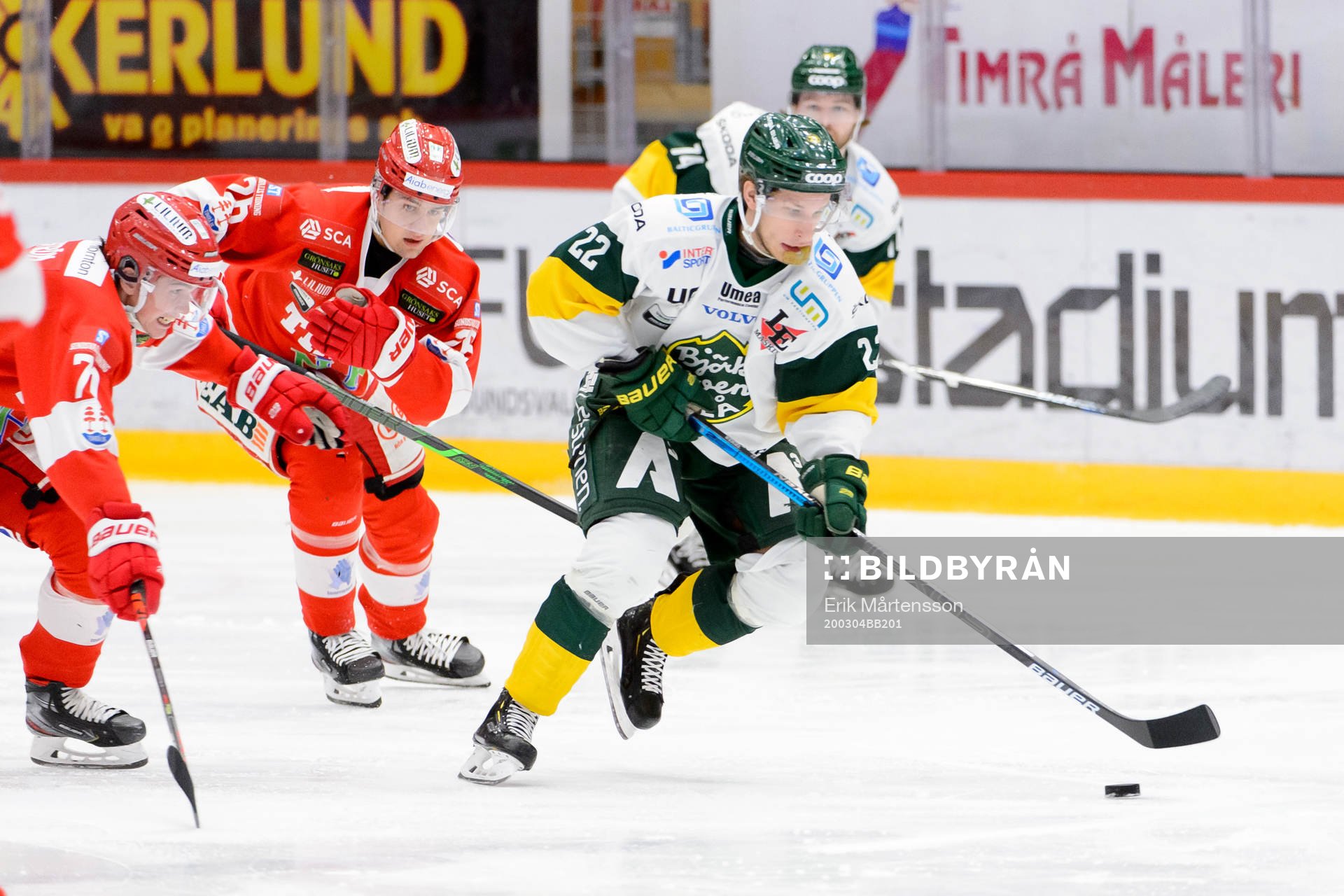 Oliwer Fjellström och Linus Nässén jagar Björklövens