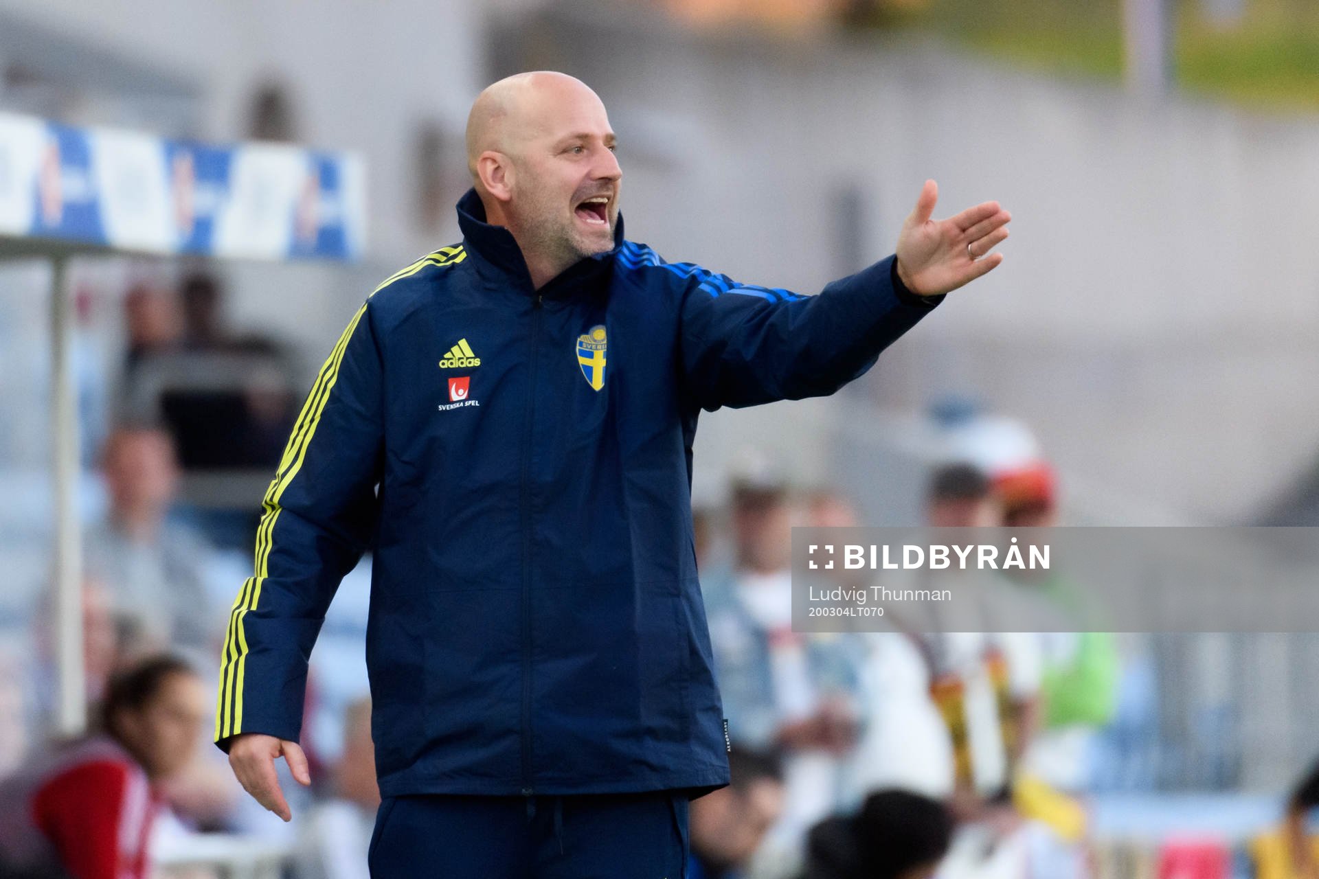 Magnus Wikman, assistant coach of Sweden