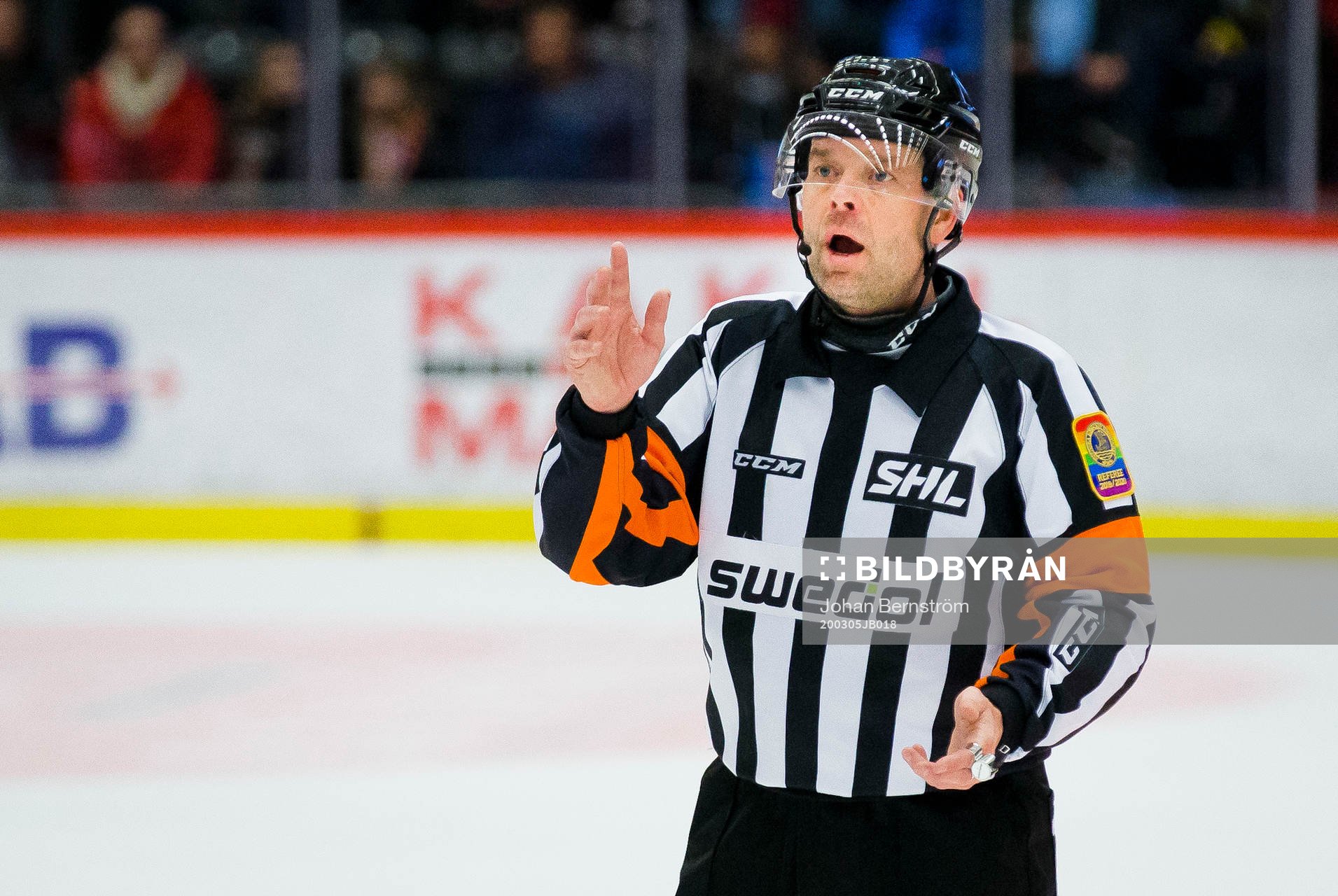 Domare Patrik Sjöberg