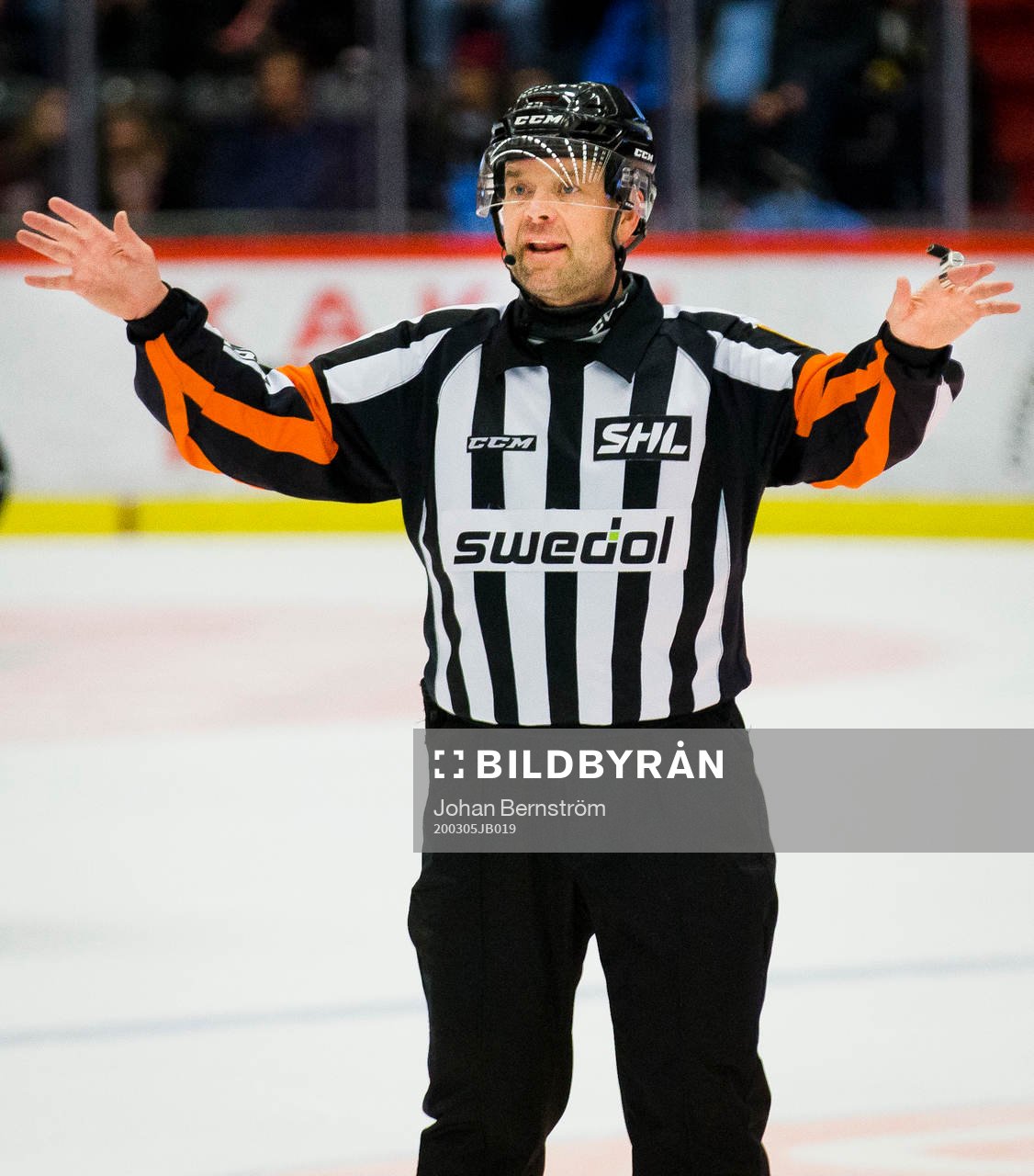Domare Patrik Sjöberg
