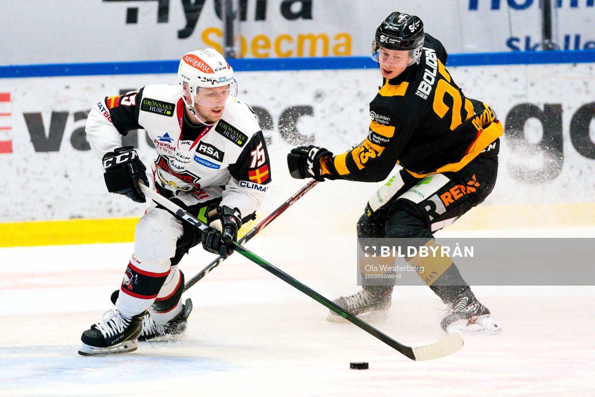 Skellefteås Jacob Andersson
