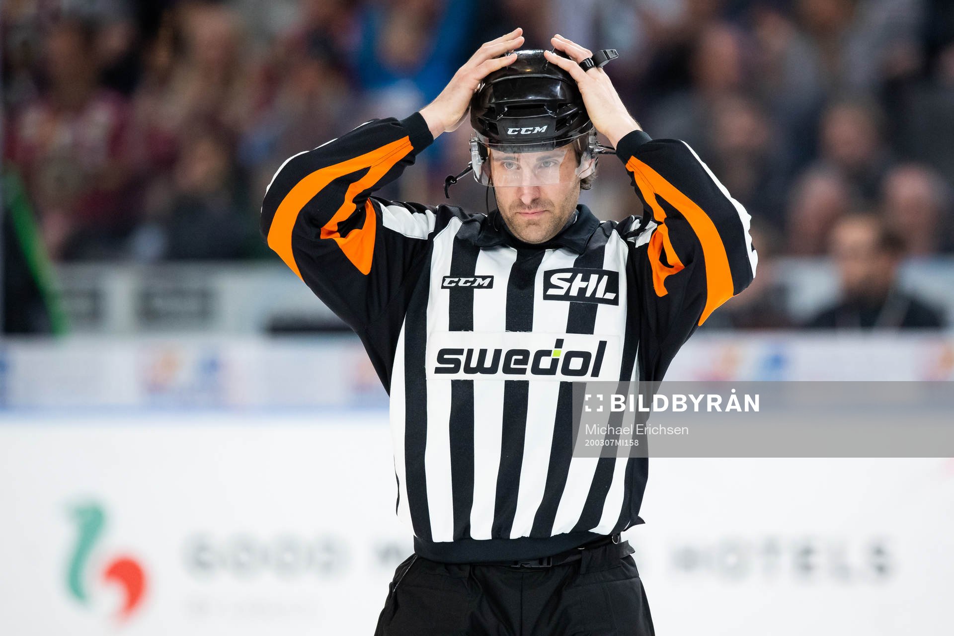Domare Mikael Sjöqvist
