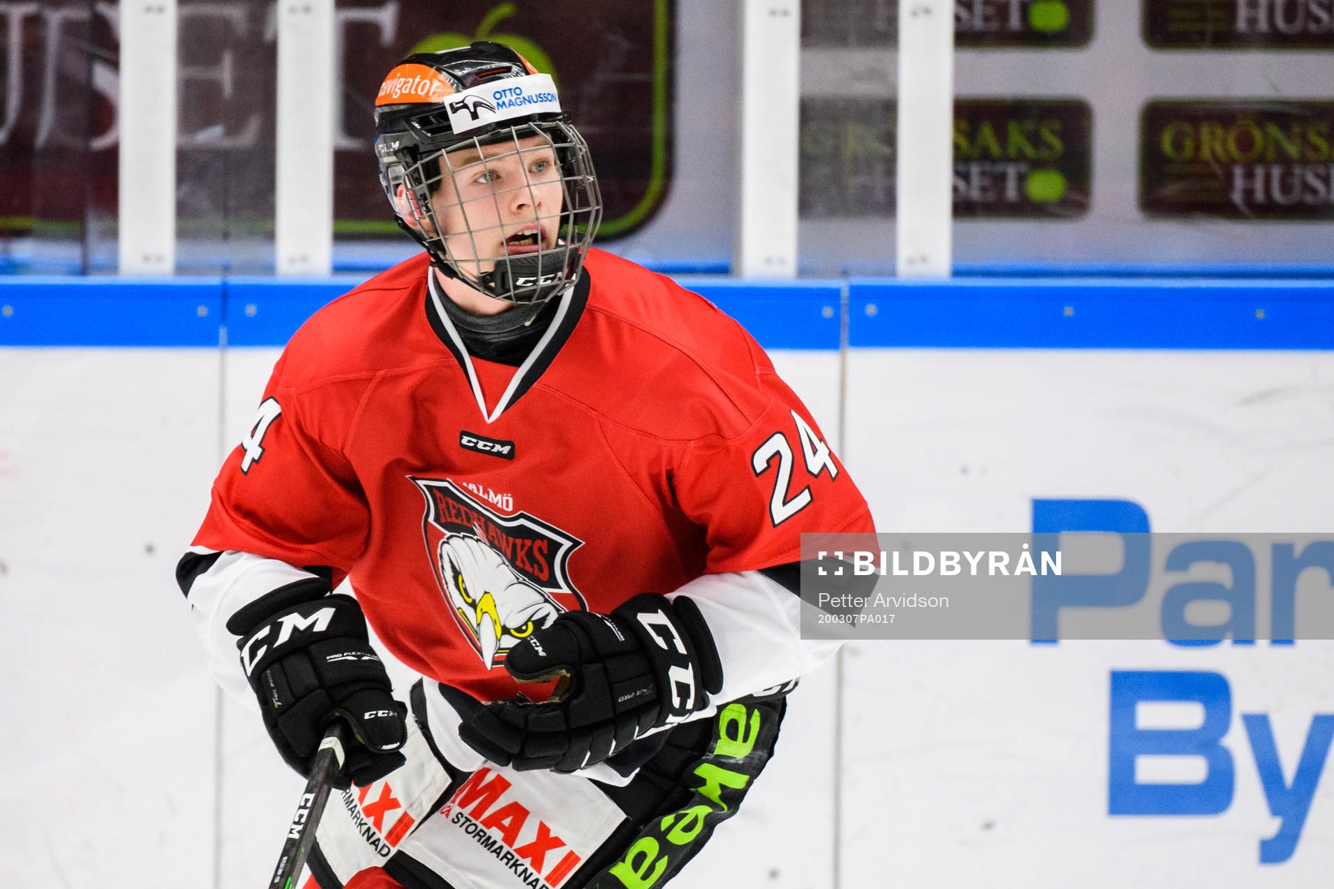 Malmö Redhawks Anton Olsson