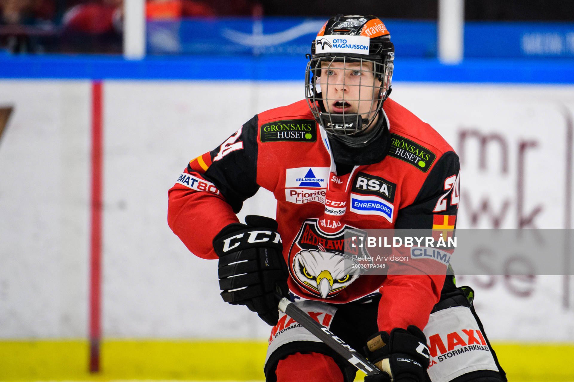 Malmö Redhawks Anton Olsson