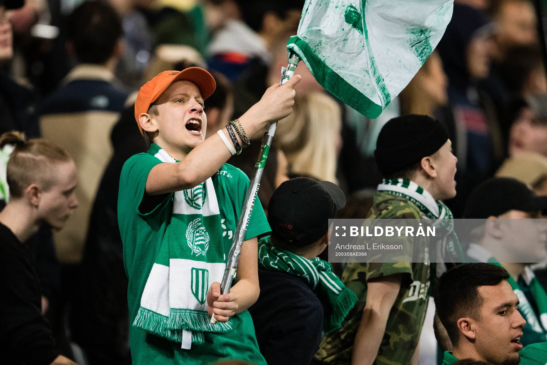 En supporter till Hammarby