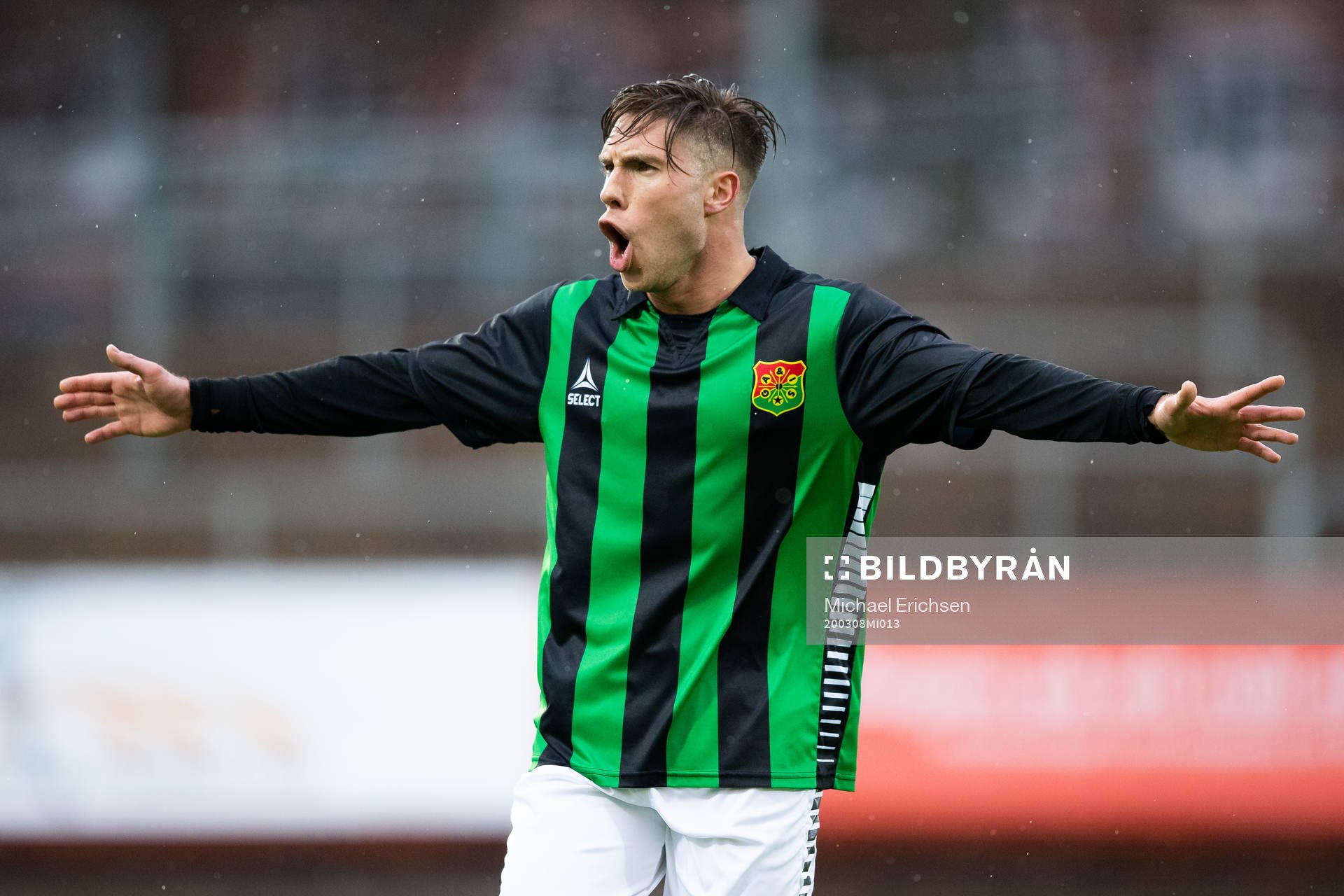 Gais Nikola Ladan