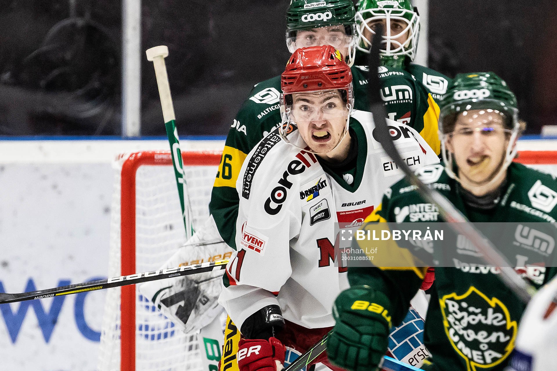 Modos Johan Forsberg