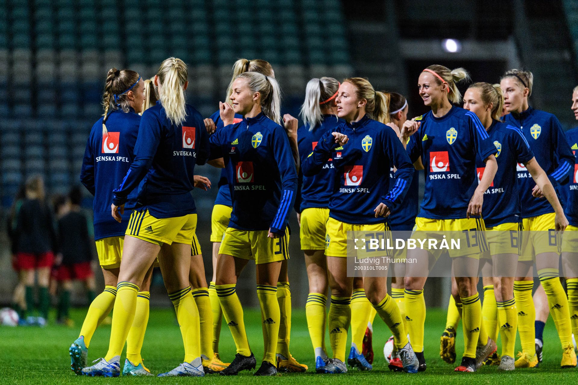 Players of Sweden