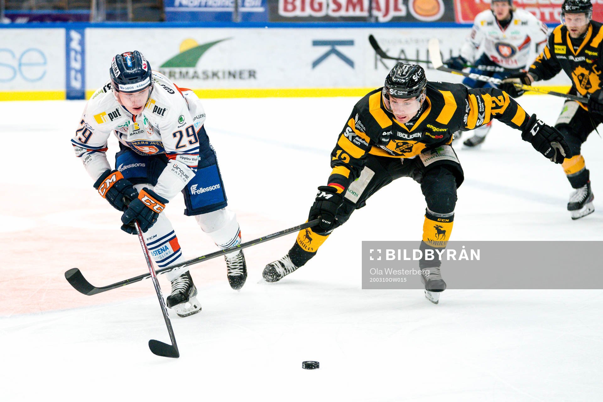 Skellefteås Adam Pettersson