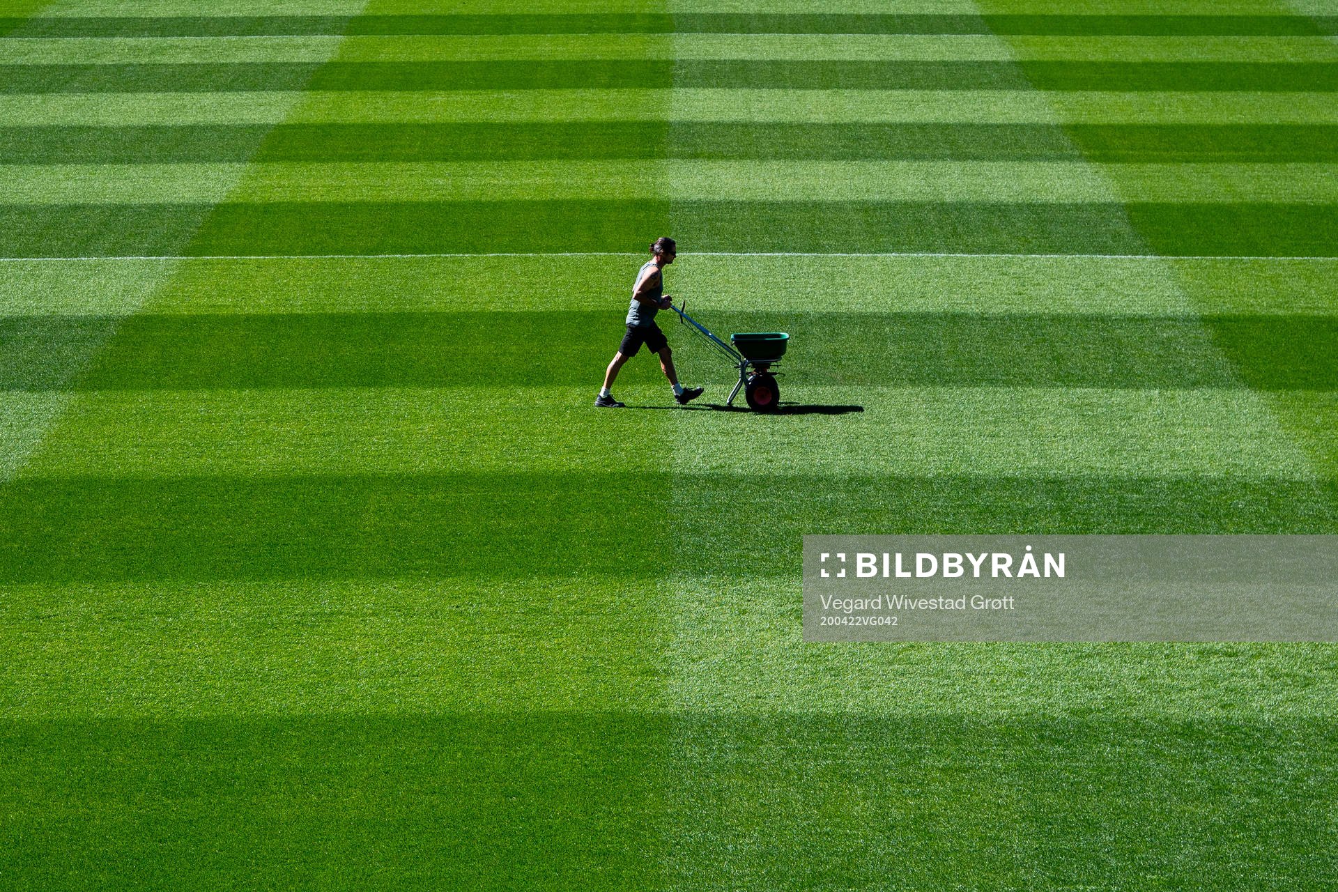 A groundsman maintains the pitch