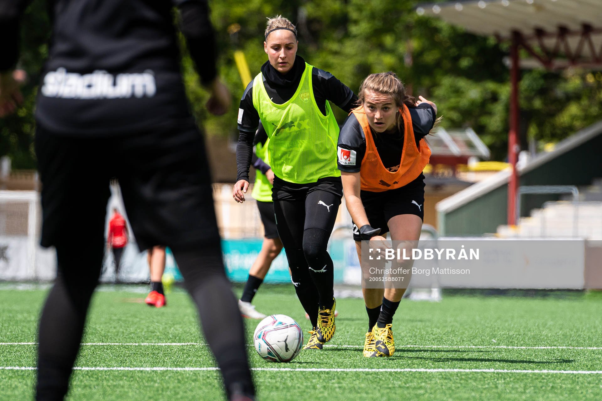 Fiona Brown jagas av Sanne Troelsgaard