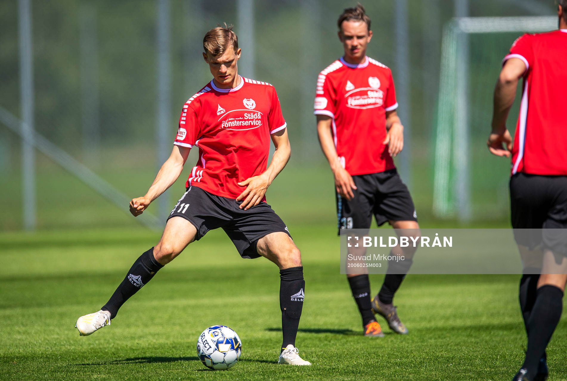 Svante Ingelsson