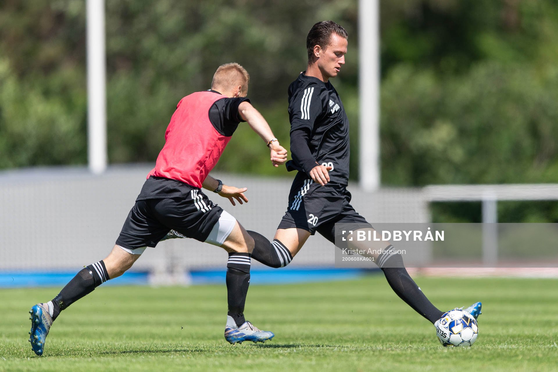 Sander van Looy