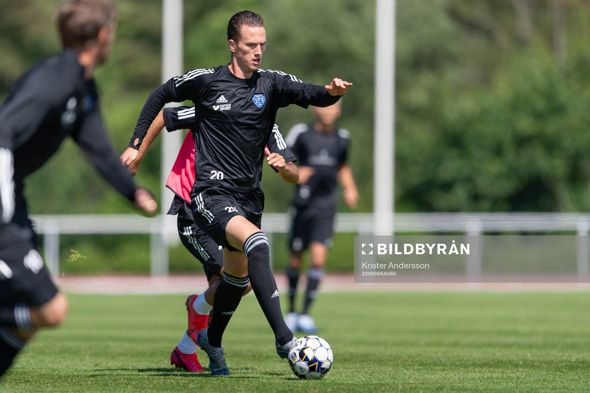 Sander van Looy