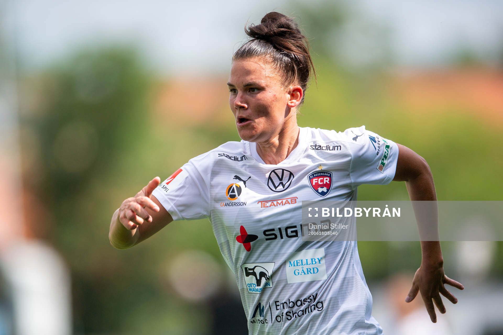 Rosengårds Katrine Veje