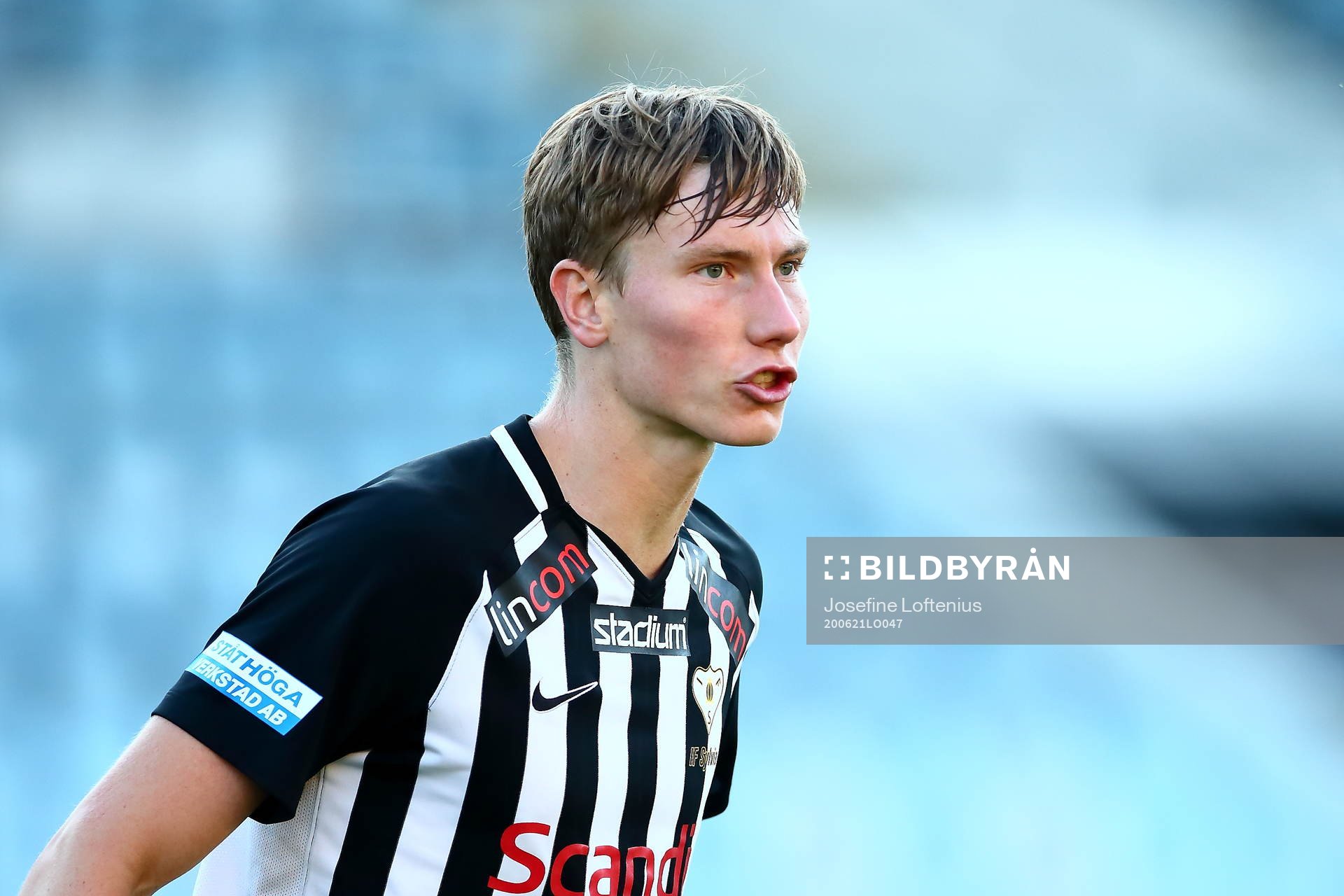 Sylvias Robin Frej