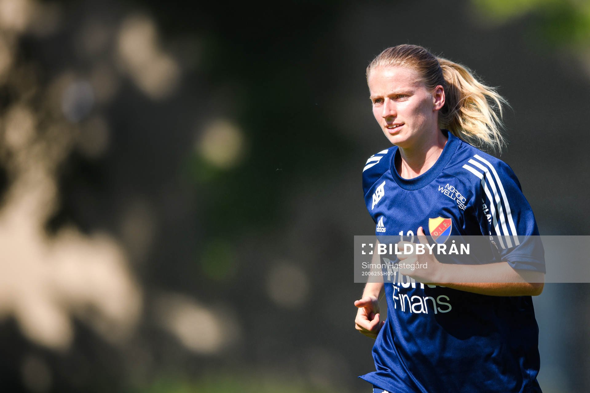 Djurgårdens Amander Kander