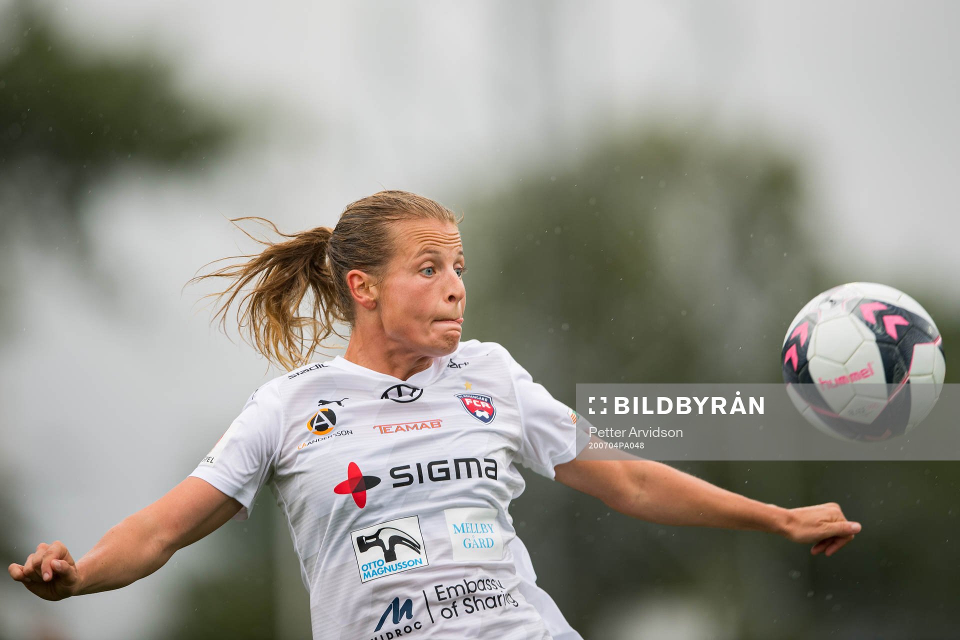 Rosengårds Anna Anvegård