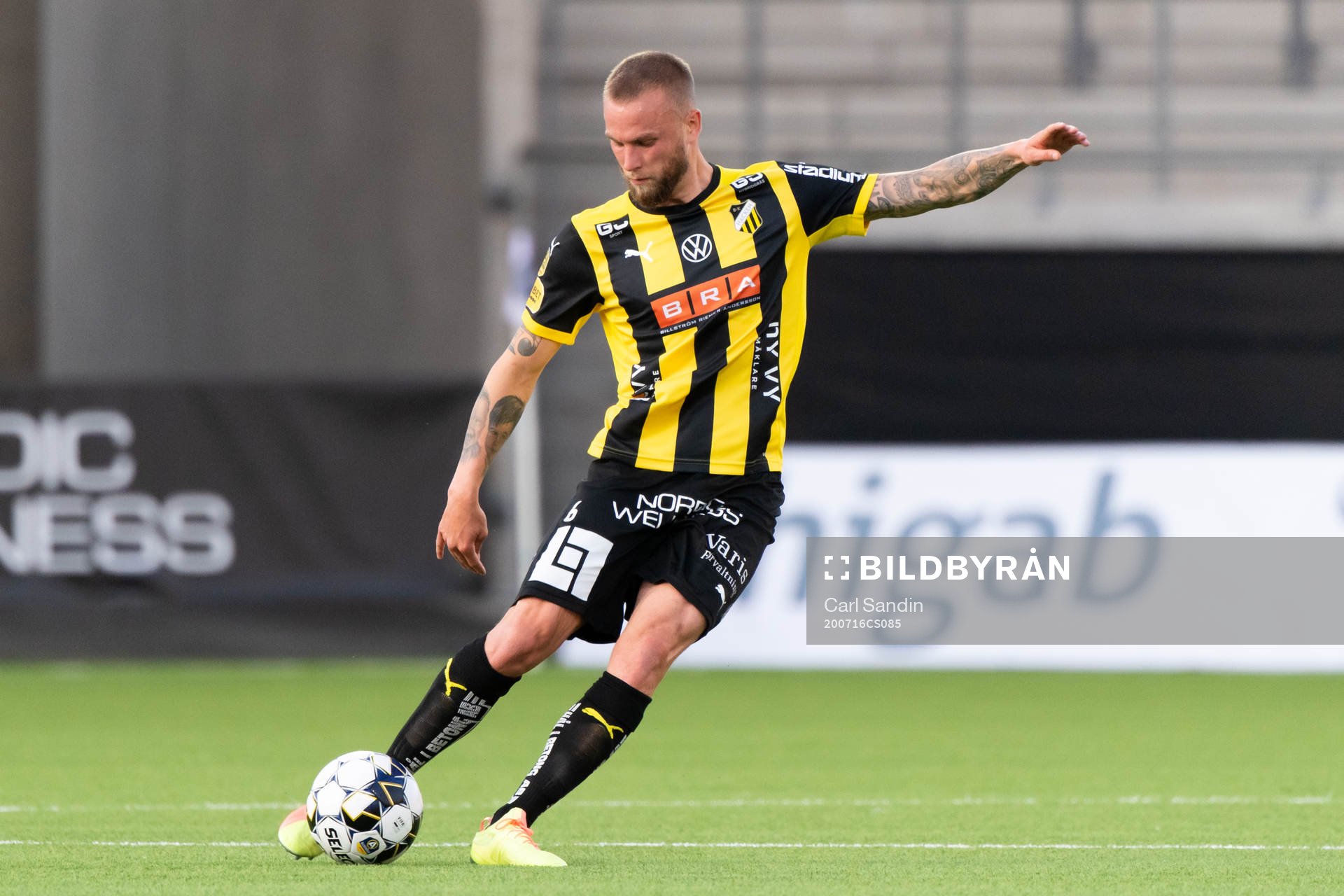 Häckens Alexander Faltsetas