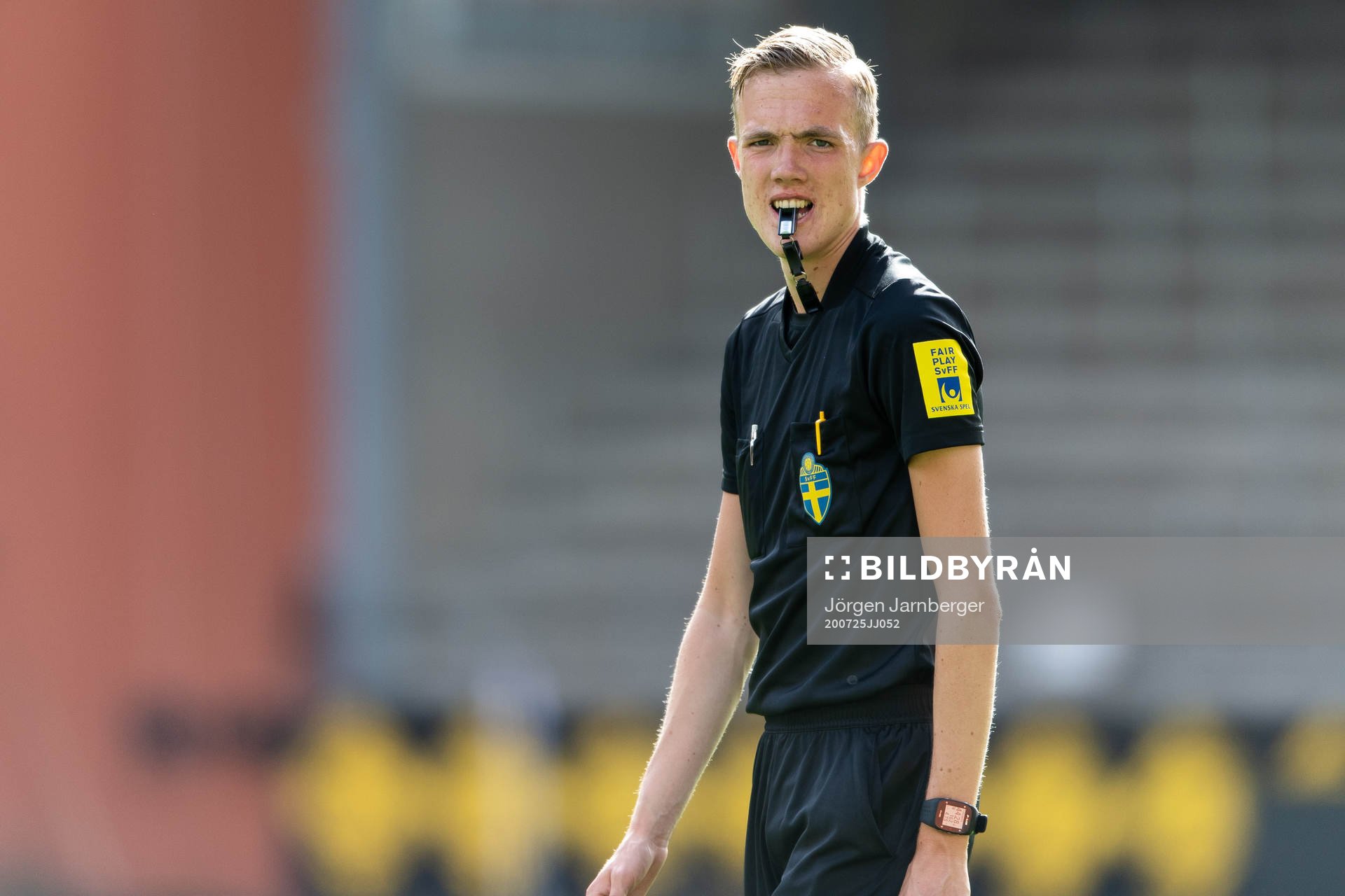Domare Albin Wrångemyr, Brämhult