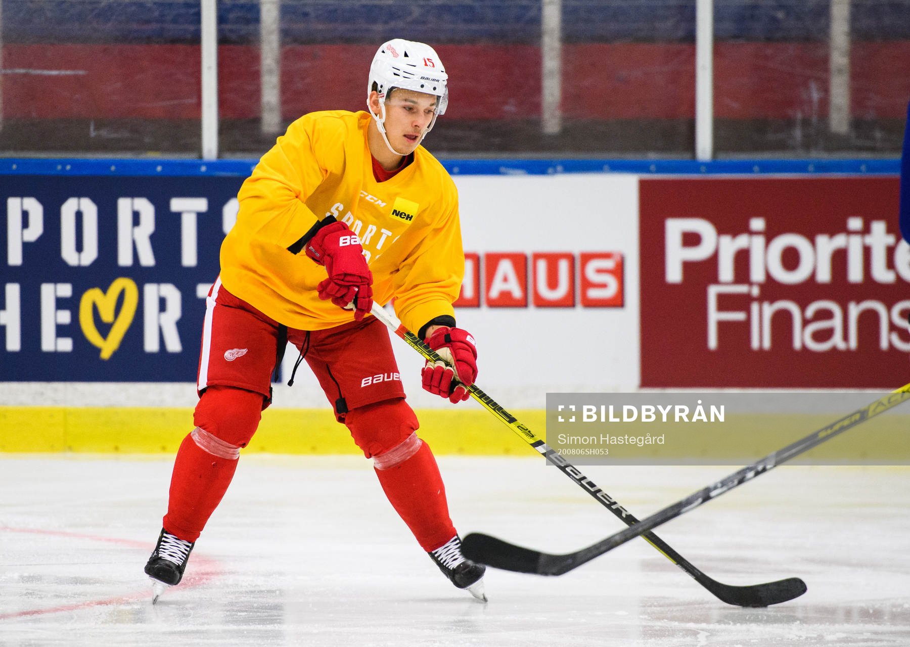 Detroit Red Wings Dmytro Timashov