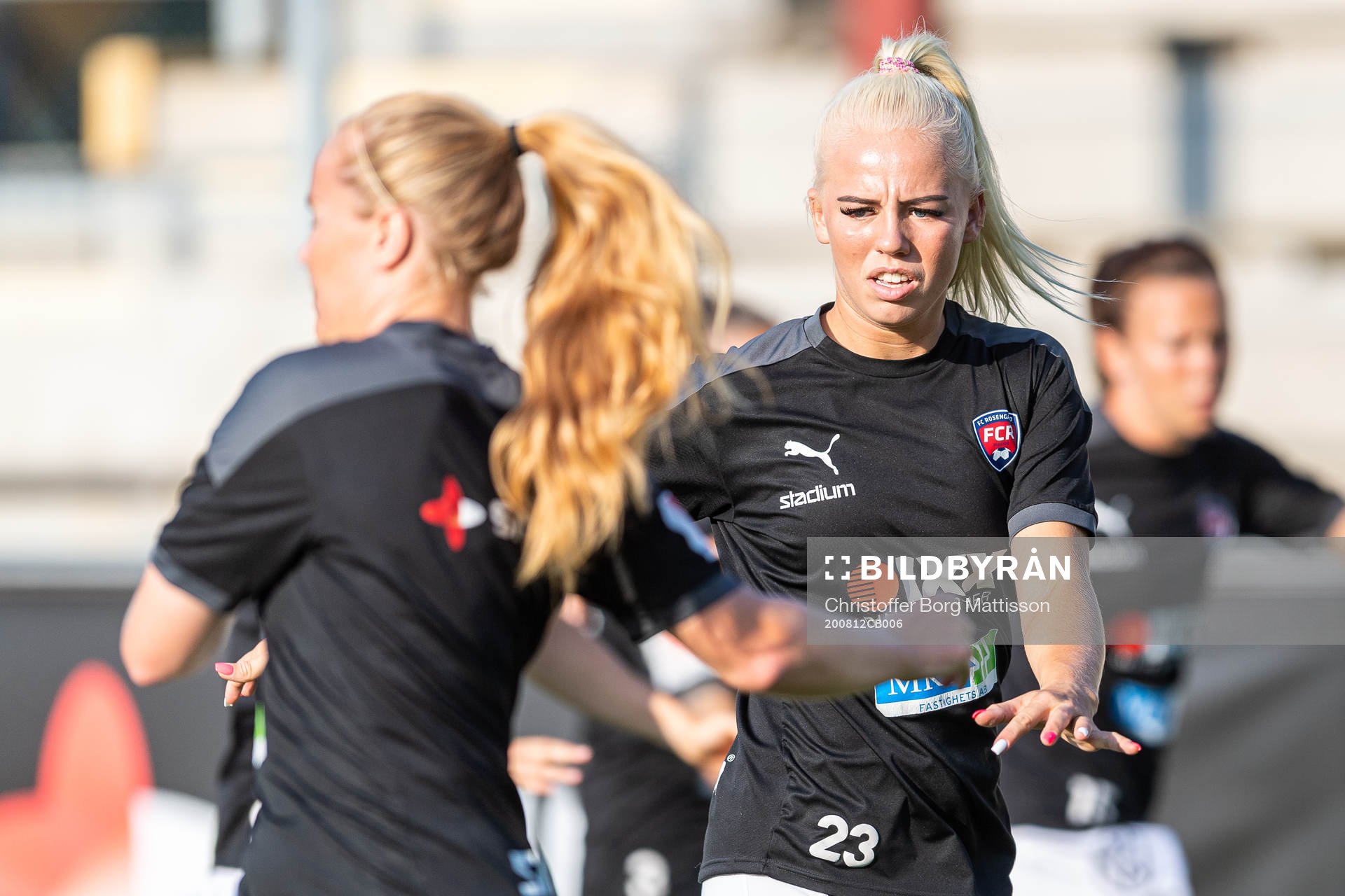 Rosengårds Sofie Svava