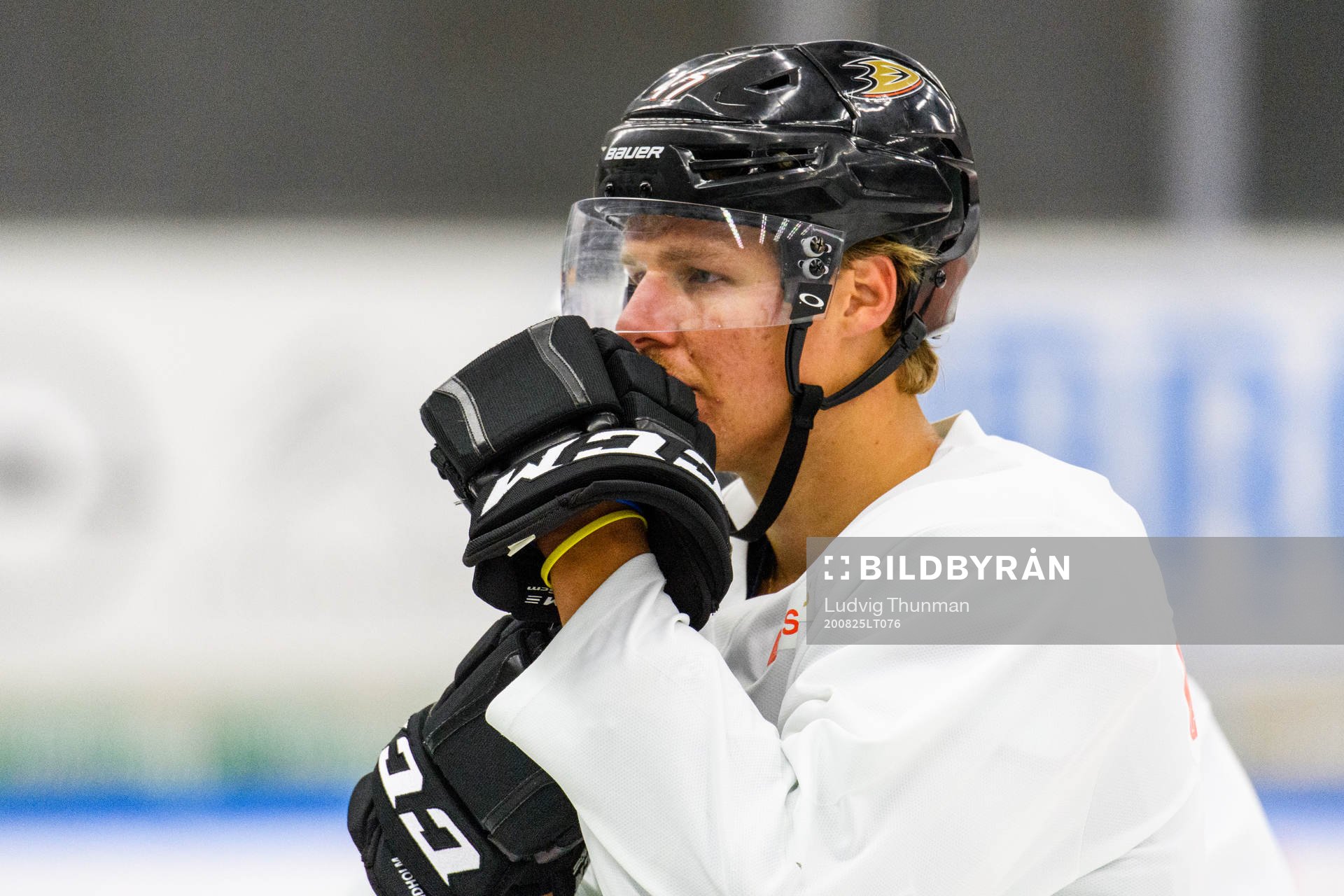 Anaheim Ducks Hampus Lindholm