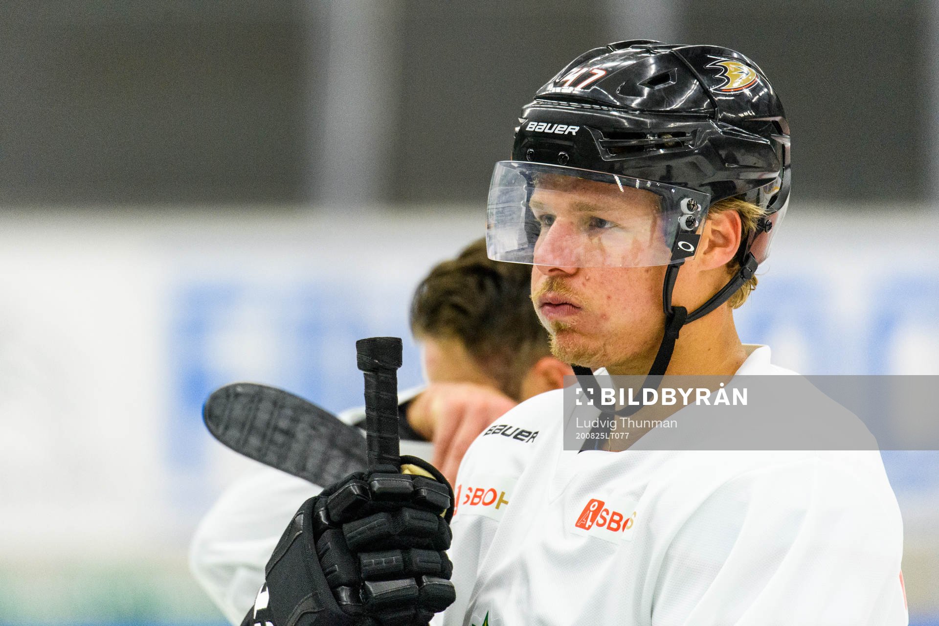 Anaheim Ducks Hampus Lindholm