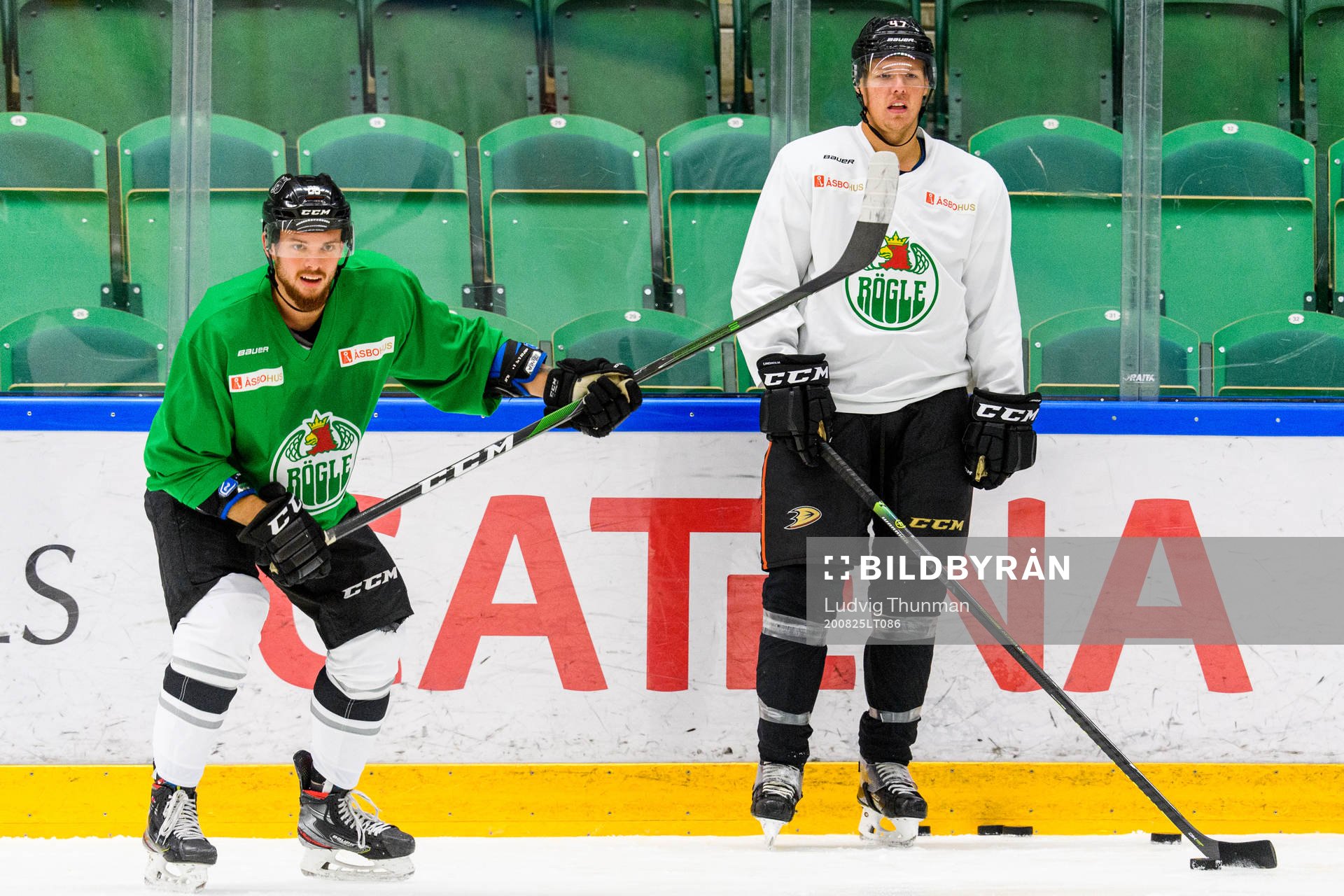 Vegas Golden Nights Lucas Elvenes och Anaheim Ducks Hampus