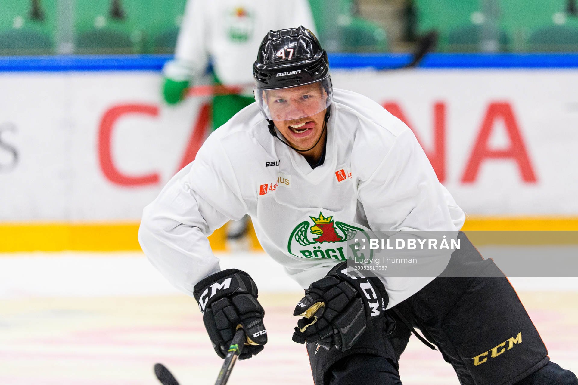 Anaheim Ducks Hampus Lindholm