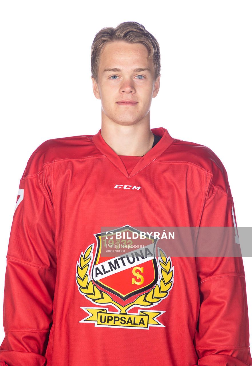 Almtunas Teodor Nyström