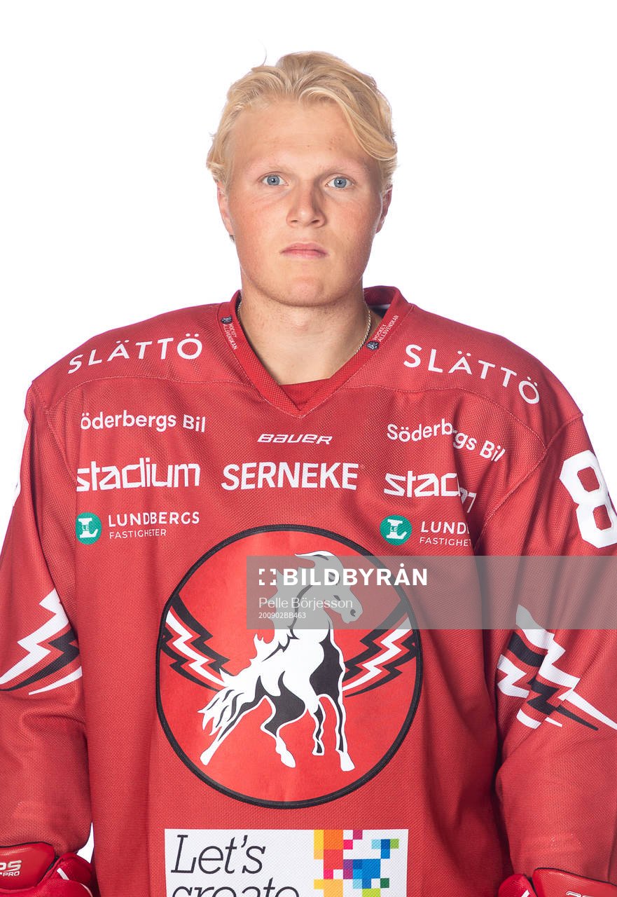 Vita Hästens Anton Johansson