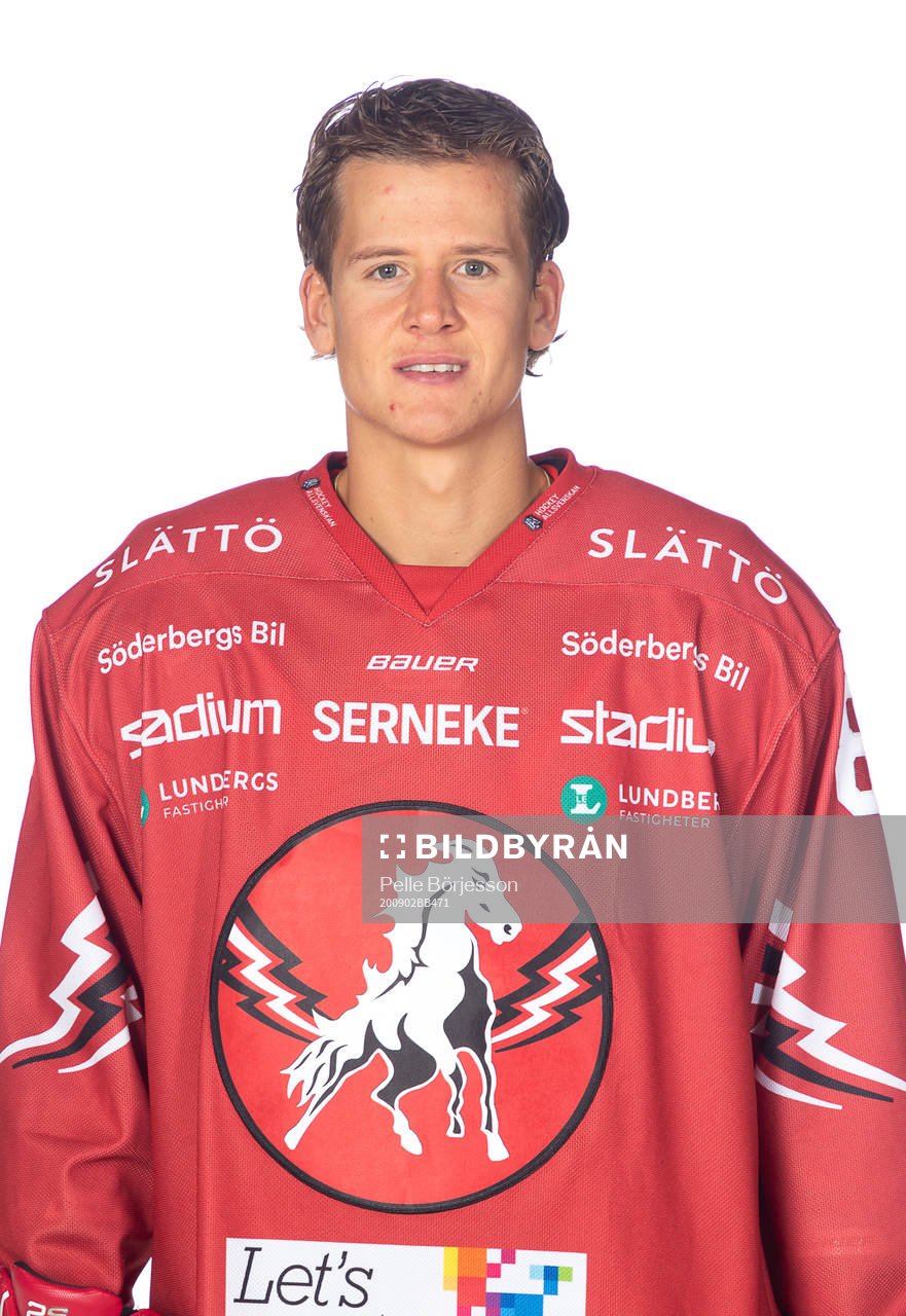 Vita Hästens Erik Borg