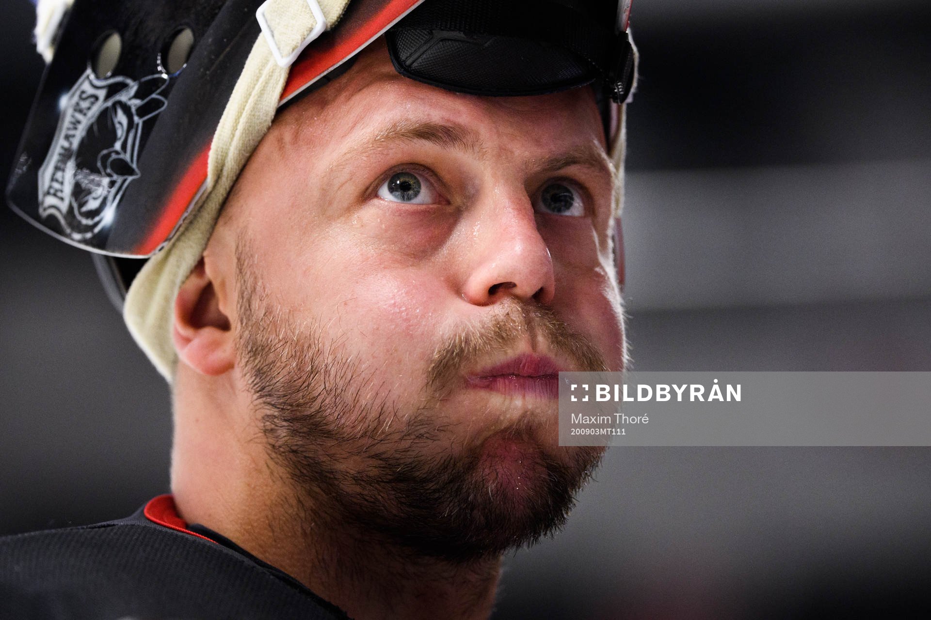Malmö Redhawks målvakt Oscar Alsenfelt