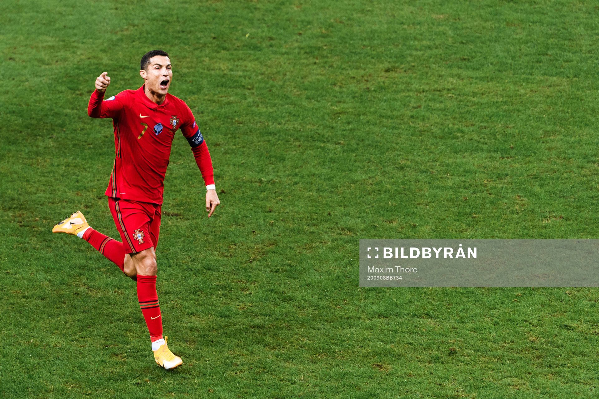 Cristiano Ronaldo of Portugal celebrates the 0-1 goal