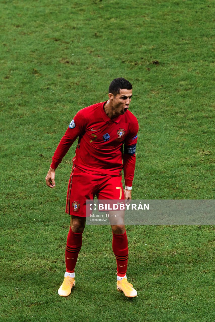 Cristiano Ronaldo of Portugal celebrates the 0-1 goal
