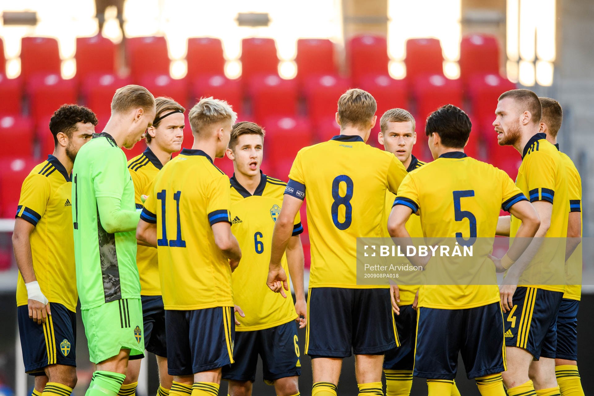 Players of Sweden