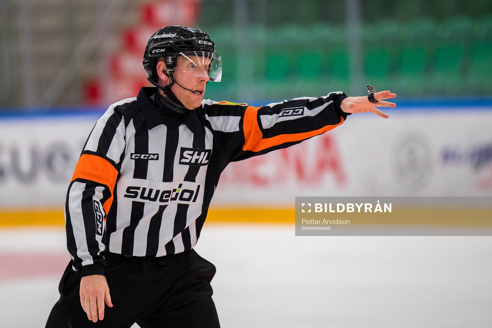 Domare Mikael Holm