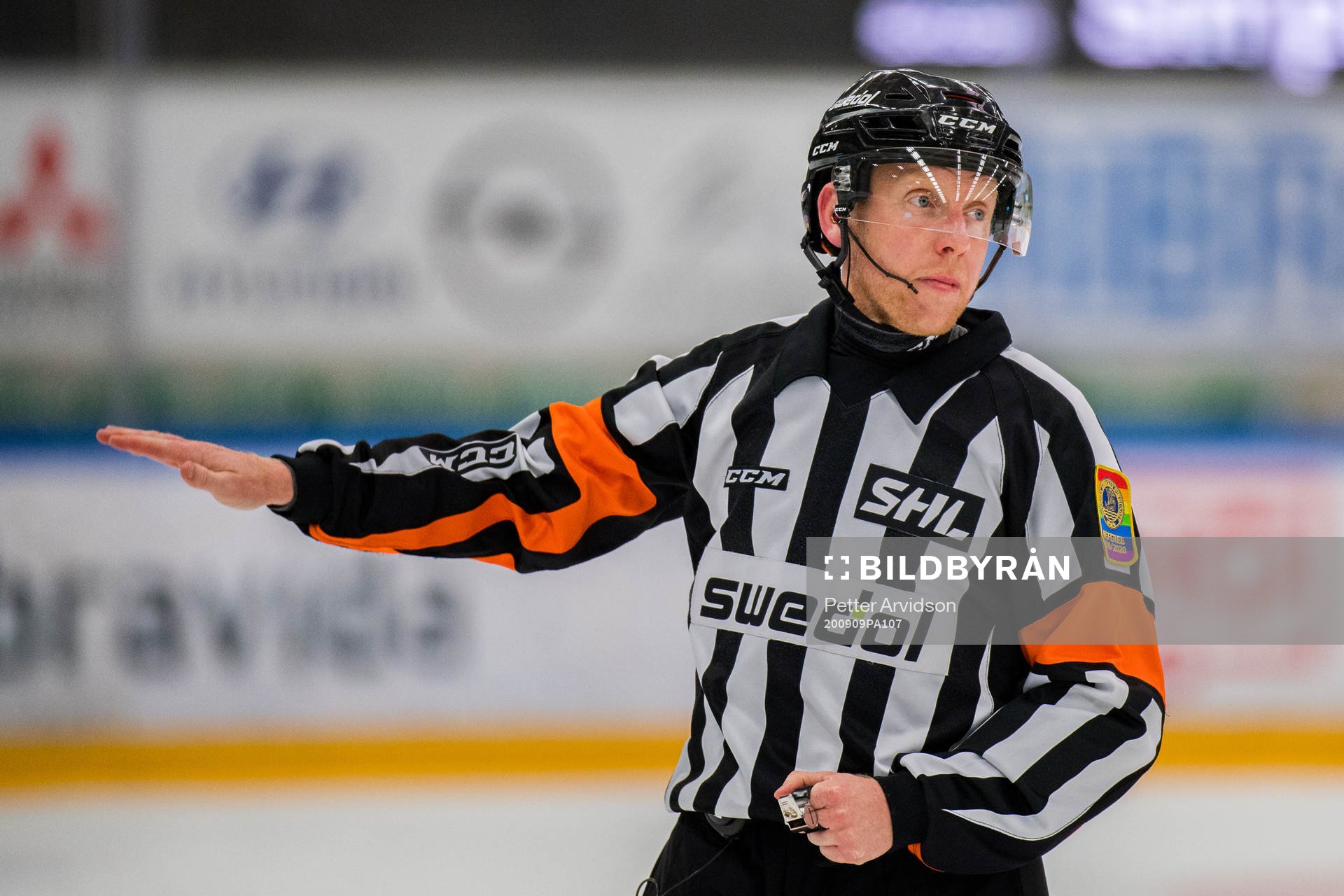 Domare Mikael Holm