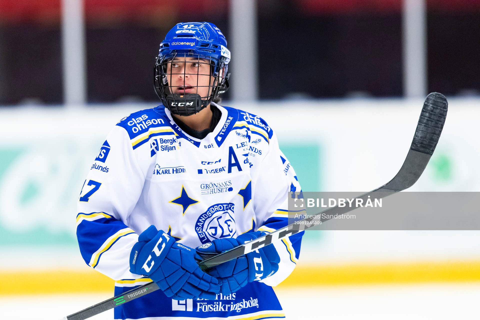 Leksands Abagael Thiessen