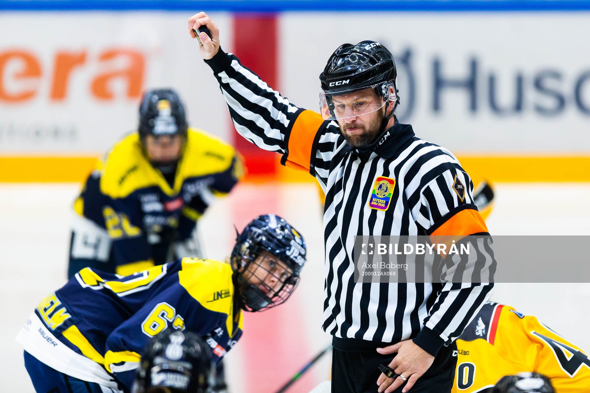 Domare Jim Bergqvist