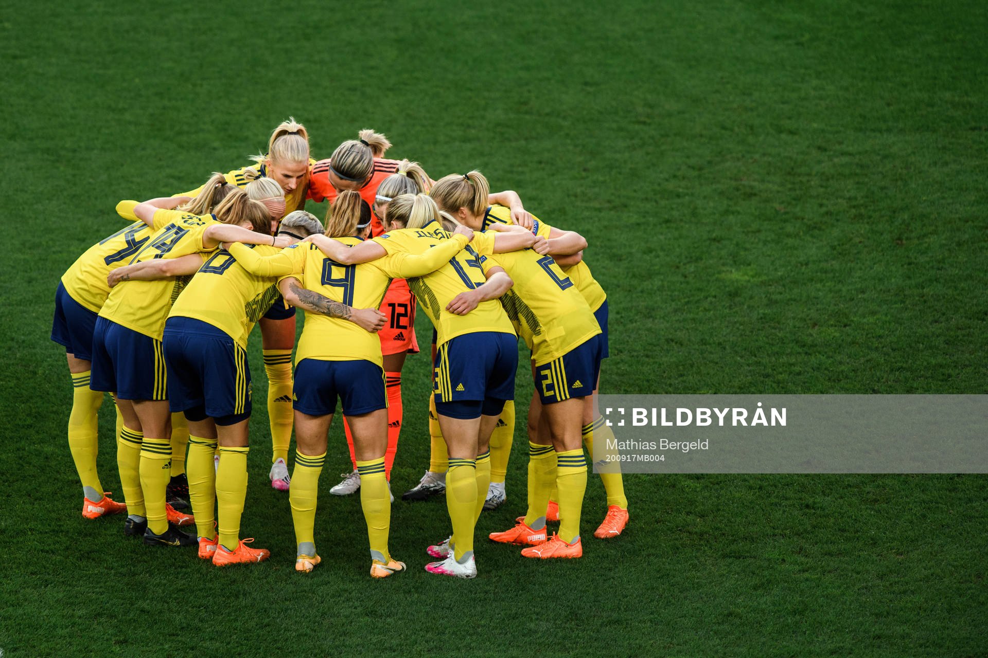 Players of Sweden