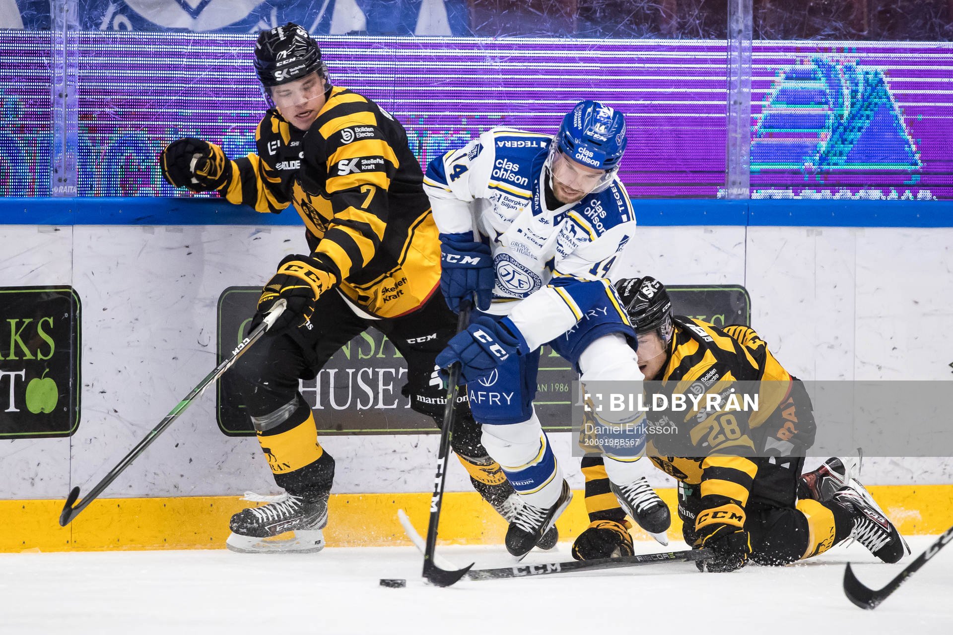 Skellefteås Felix Dahlroth och Leksands Oskar Lang