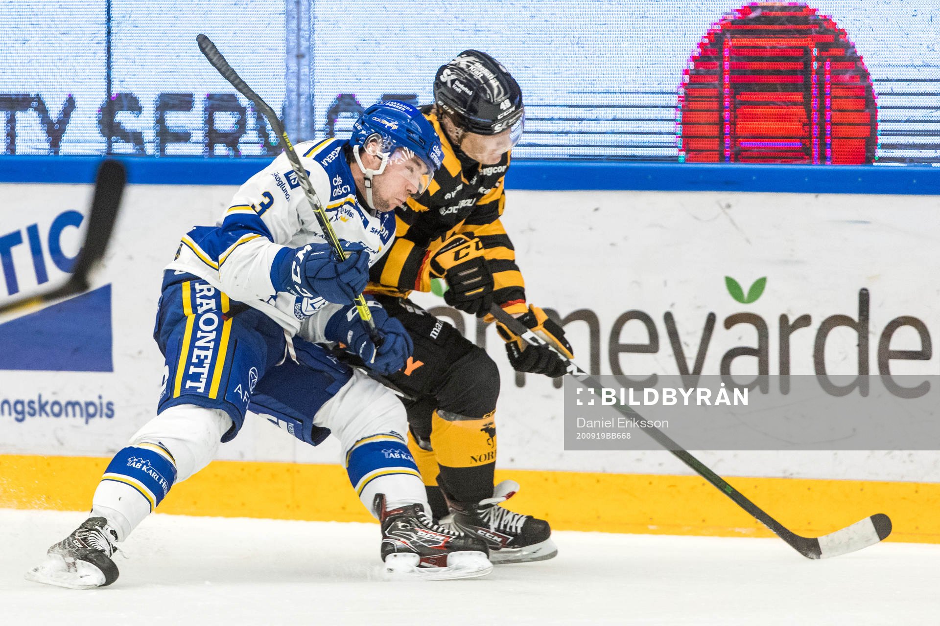 Leksands August Berg och Skellefteås Jonatan Berggren